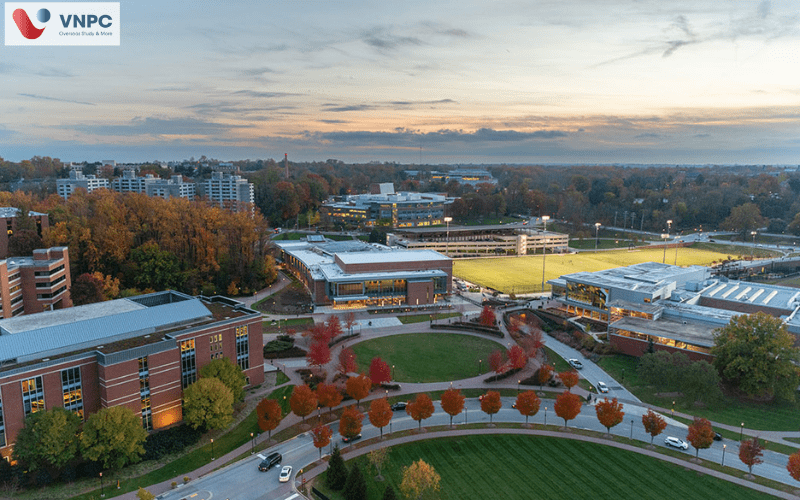 ​Towson University